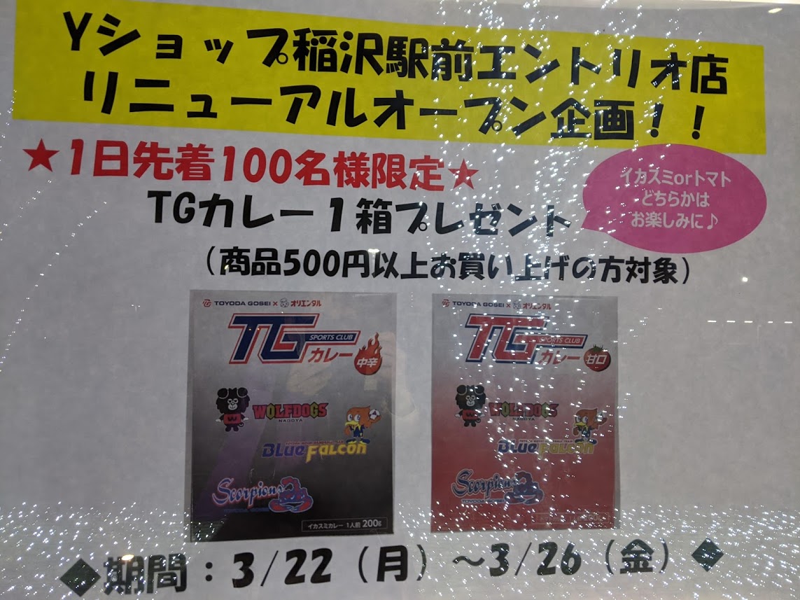 TGカレープレゼント