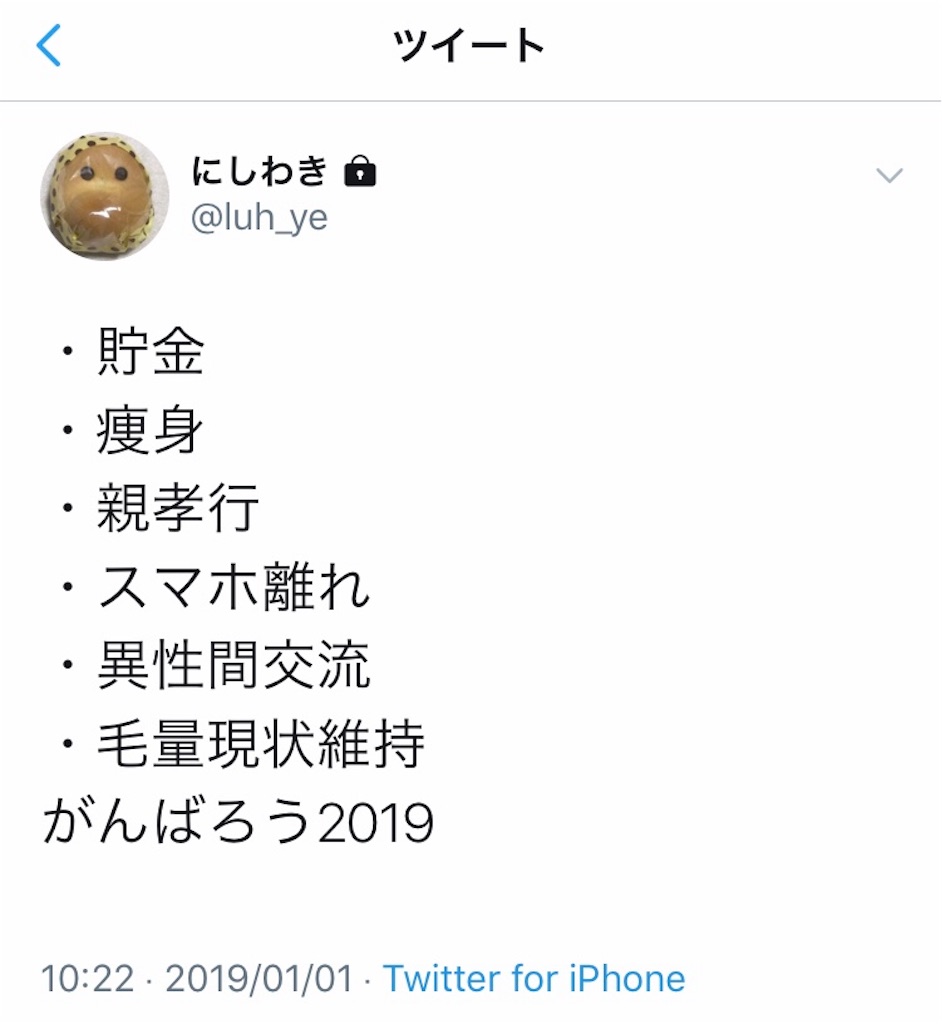 f:id:inchaaaaa:20191230095924j:image