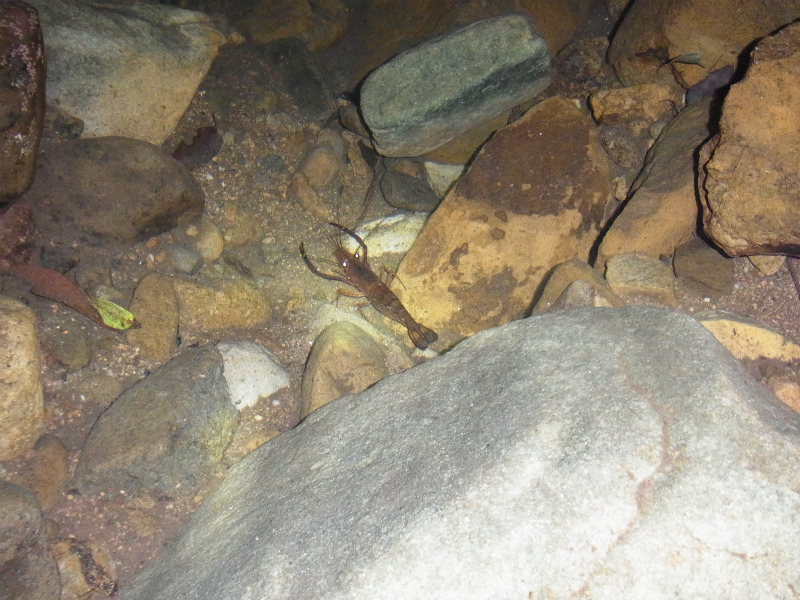 f:id:inclinatus77:20130208004357j:image f:id:inclinatus77:20130208004357j:image