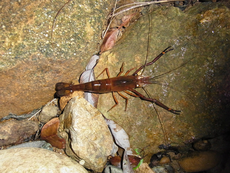f:id:inclinatus77:20130208004358j:image f:id:inclinatus77:20130208004358j:image