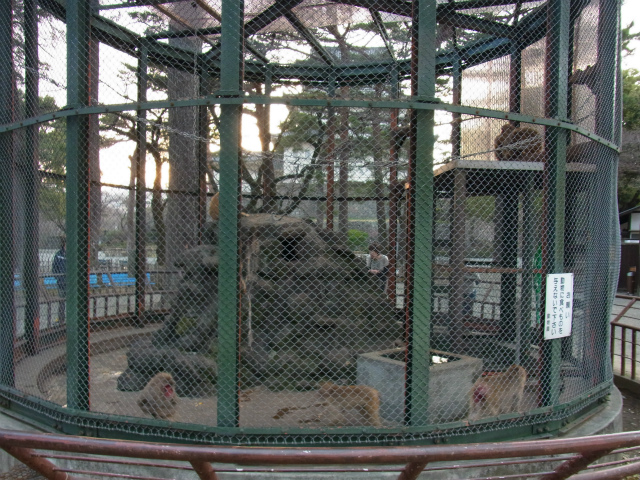 f:id:inclinatus77:20130313224618j:image f:id:inclinatus77:20130313224618j:image