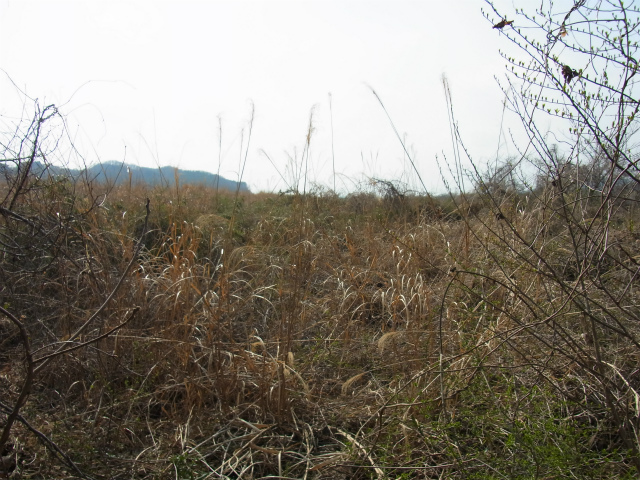 f:id:inclinatus77:20130404013551j:image f:id:inclinatus77:20130404013551j:image