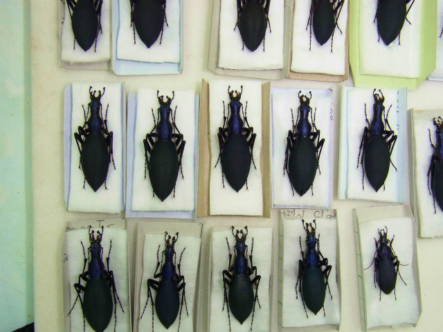 f:id:inclinatus77:20130404013902j:image f:id:inclinatus77:20130404013902j:image