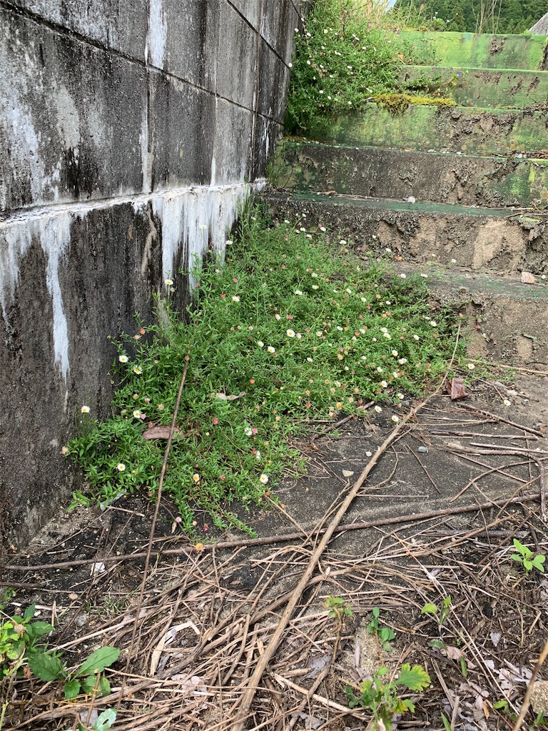 f:id:independent-traveller:20191002182346j:image