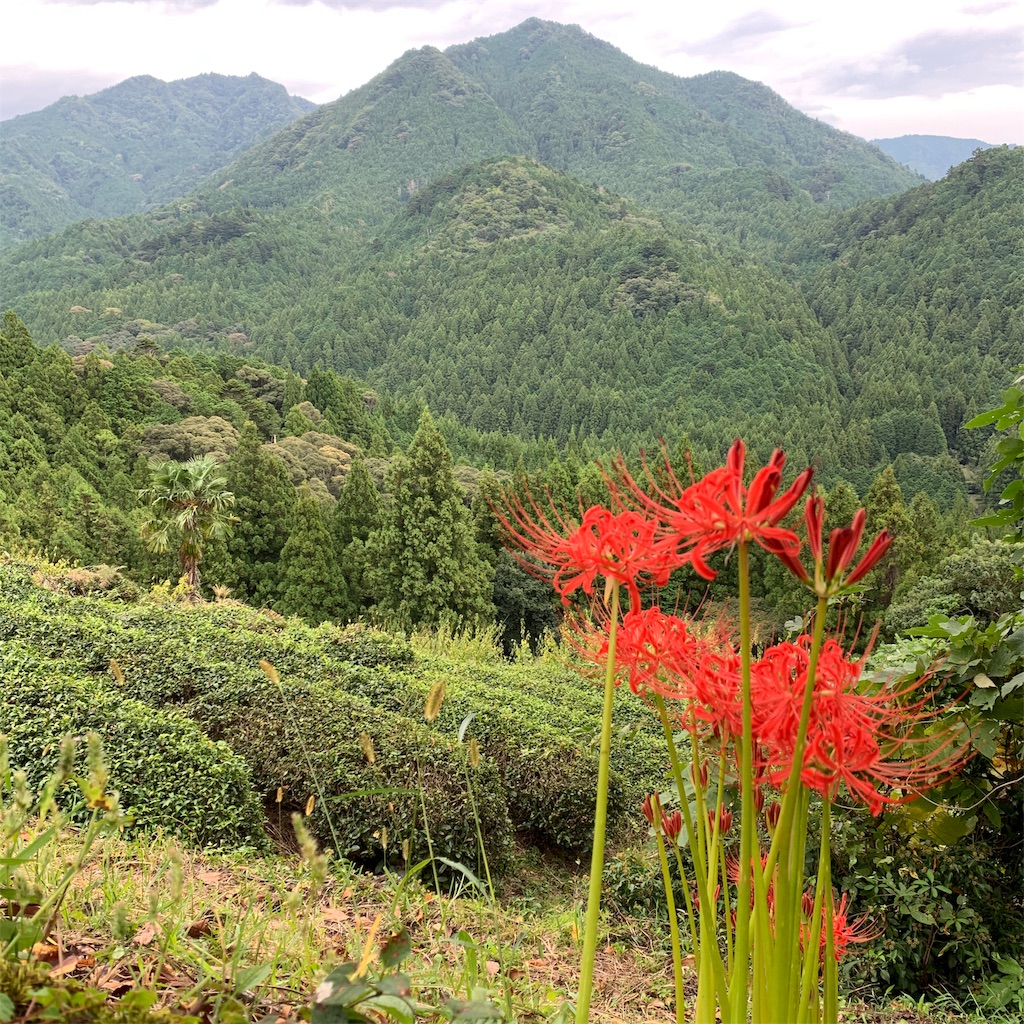 f:id:independent-traveller:20191002182857j:image