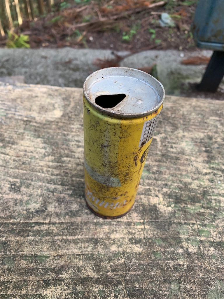f:id:independent-traveller:20191119083001j:image