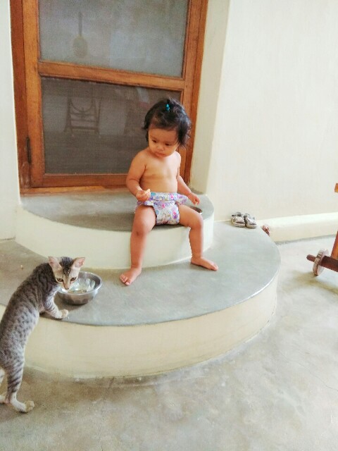 f:id:indiamickey345:20170723171127j:image