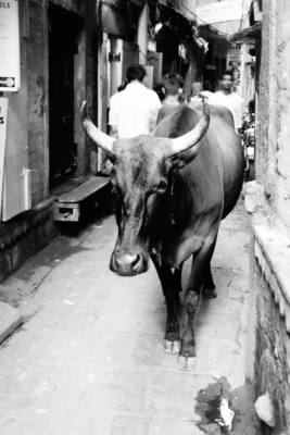 f:id:indiasantana:20161009124707j:image:w360