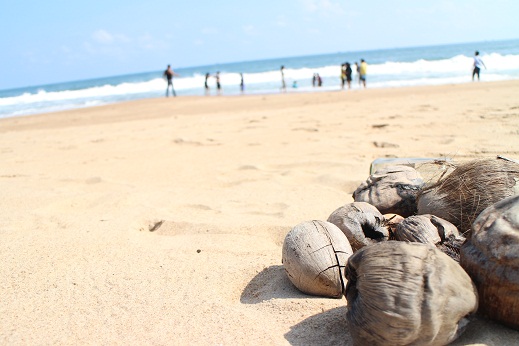 f:id:indiasantana:20161012192458j:image