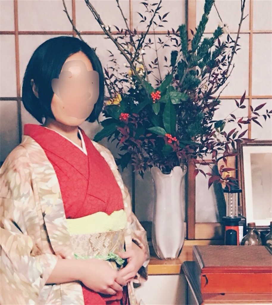 f:id:indigoholizon:20180117192239j:image
