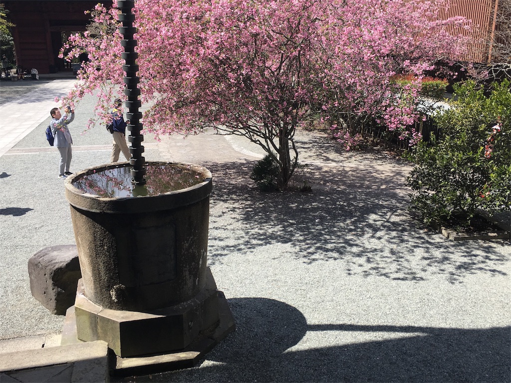 f:id:indigoholizon:20190401225522j:image f:id:indigoholizon:20190401225522j:image