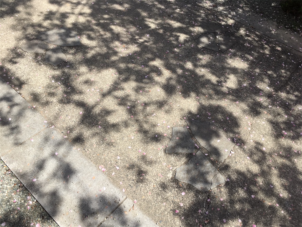 f:id:indigoholizon:20190401225549j:image f:id:indigoholizon:20190401225549j:image