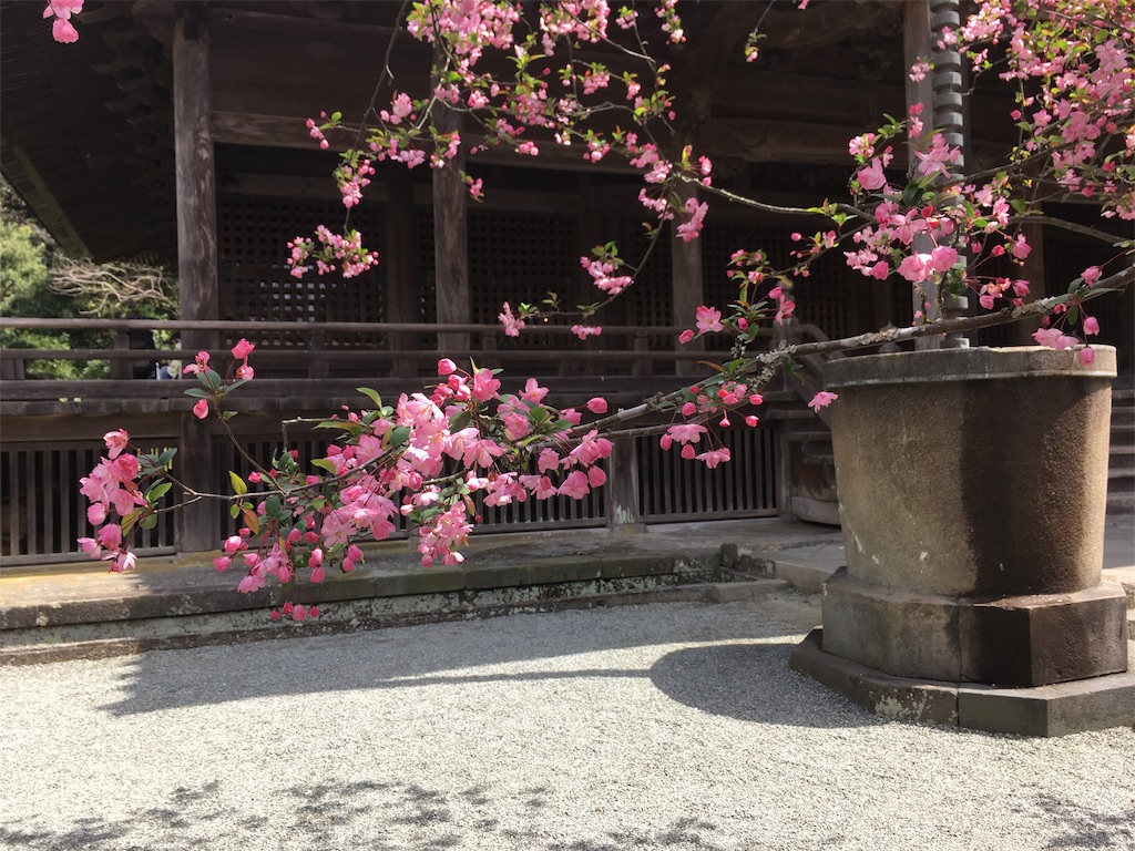 f:id:indigoholizon:20190401225642j:image f:id:indigoholizon:20190401225642j:image