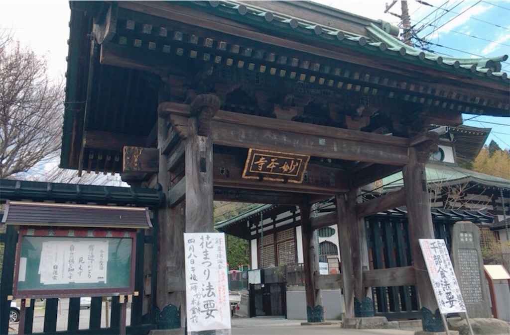 f:id:indigoholizon:20190403023121j:image f:id:indigoholizon:20190403023121j:image