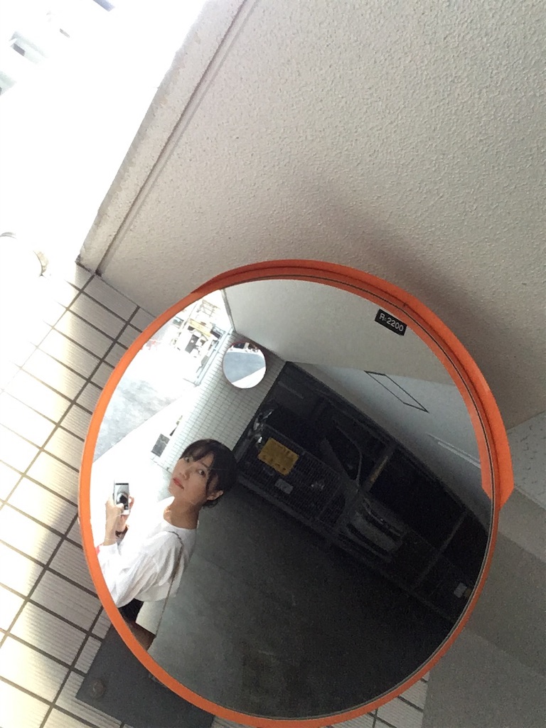 f:id:indigoholizon:20190403040606j:image f:id:indigoholizon:20190403040606j:image