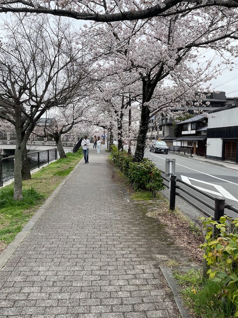 f:id:indigomou5e:20230325230622j:image