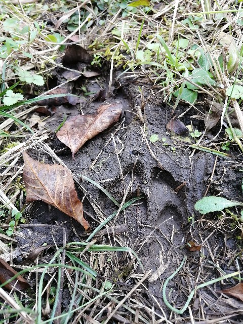 f:id:indoor_hunter:20201226105506j:image f:id:indoor_hunter:20201226105506j:image