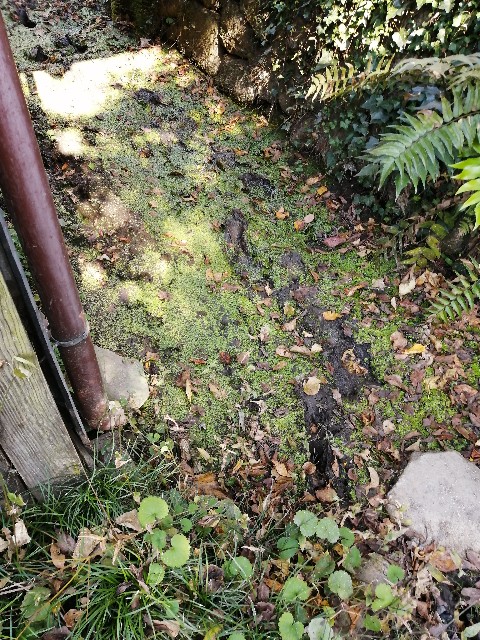 f:id:indoor_hunter:20201226105703j:image f:id:indoor_hunter:20201226105703j:image
