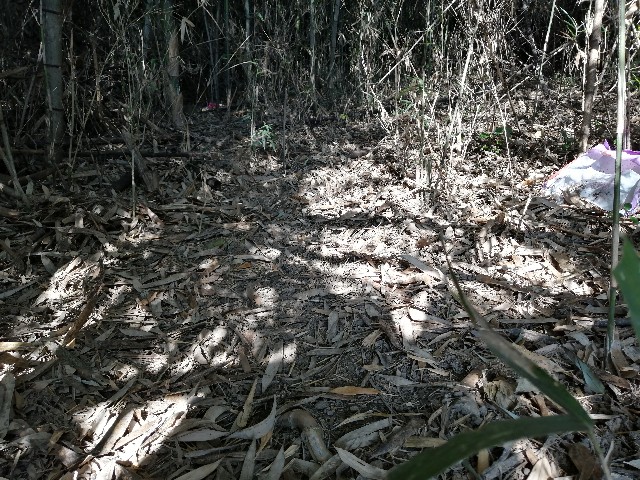 f:id:indoor_hunter:20201226105931j:image f:id:indoor_hunter:20201226105931j:image