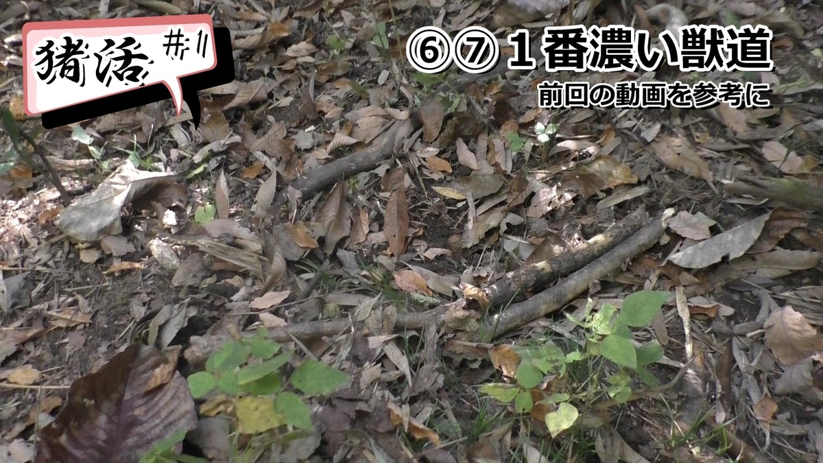 f:id:indoor_hunter:20210104194827j:plain