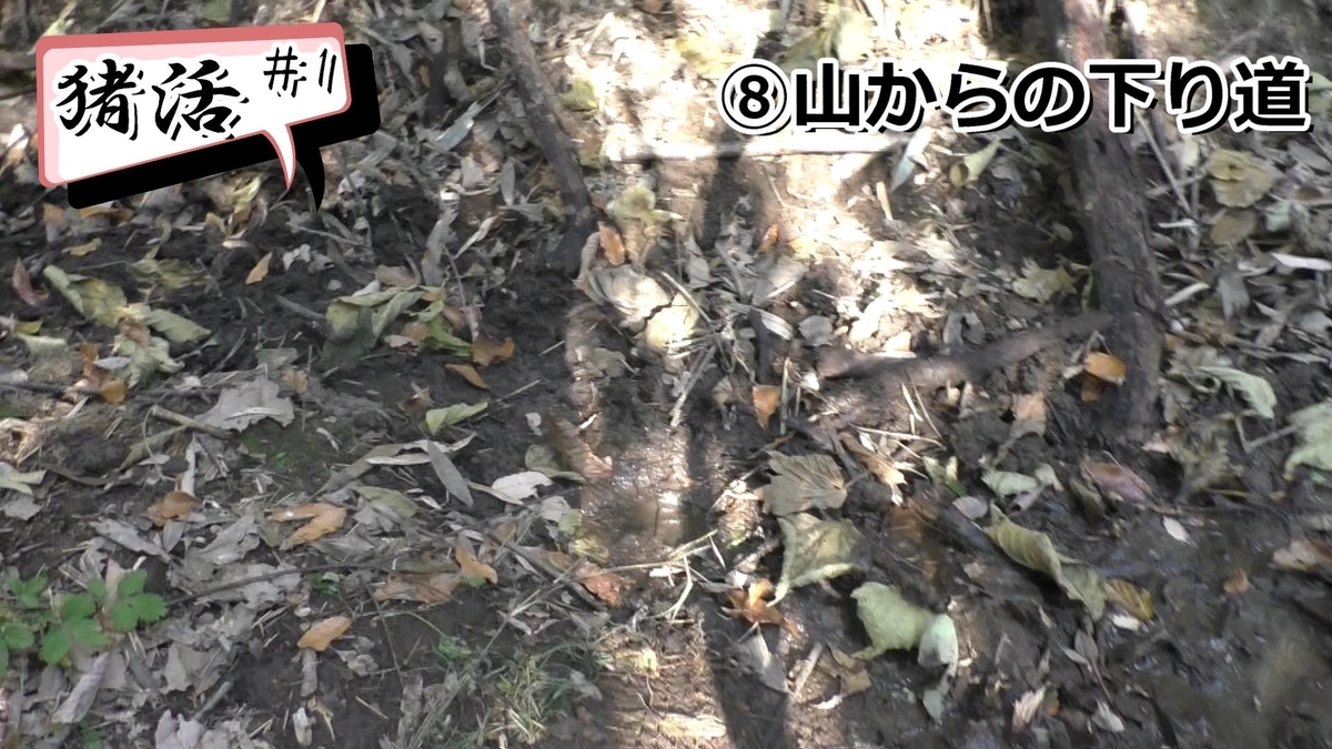 f:id:indoor_hunter:20210104194854j:plain