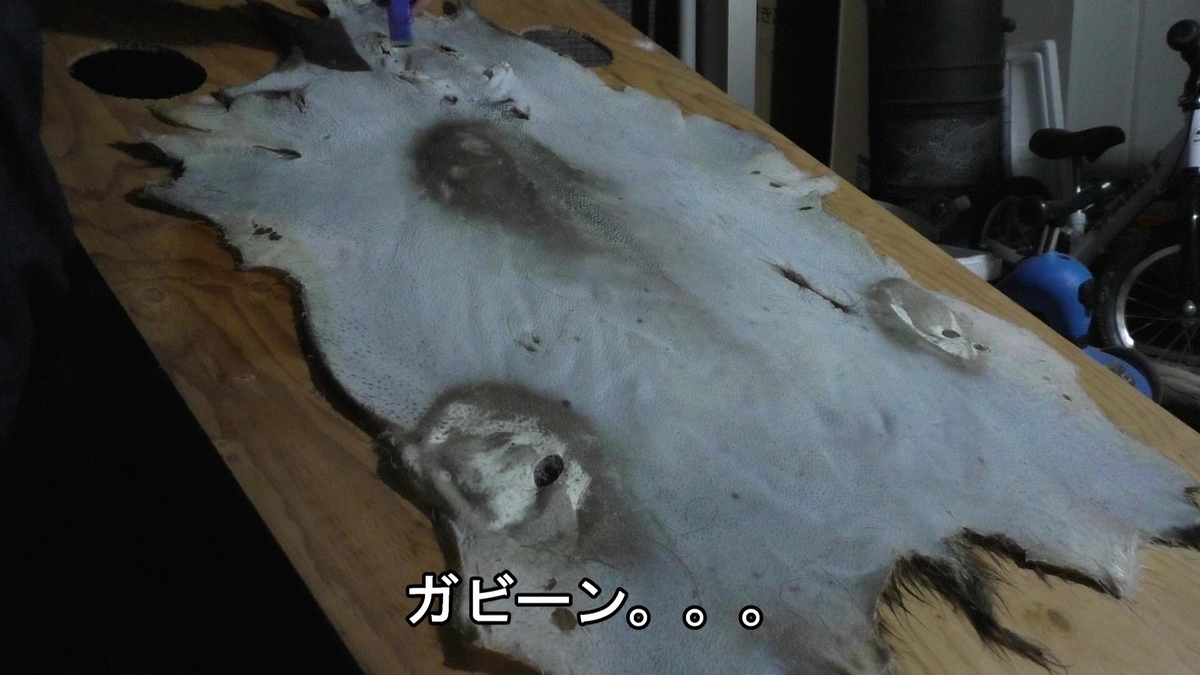 f:id:indoor_hunter:20210201093609j:plain