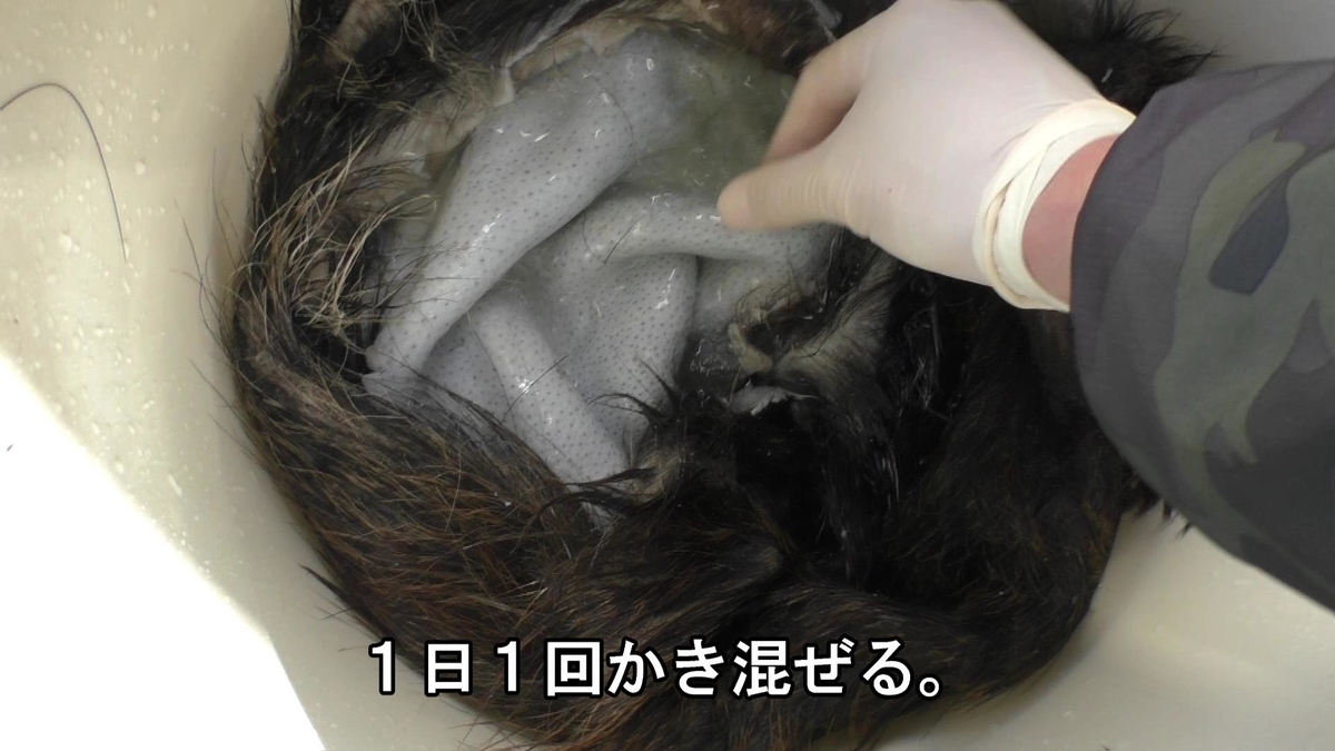 f:id:indoor_hunter:20210201093708j:plain
