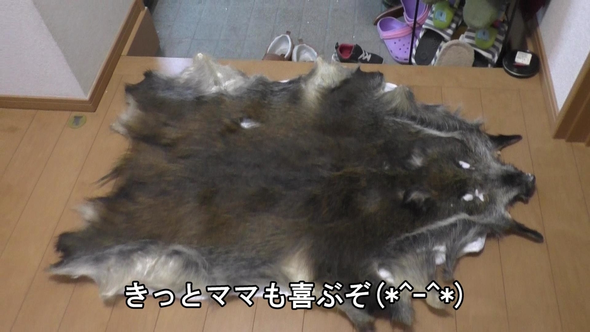 f:id:indoor_hunter:20210201093806j:plain