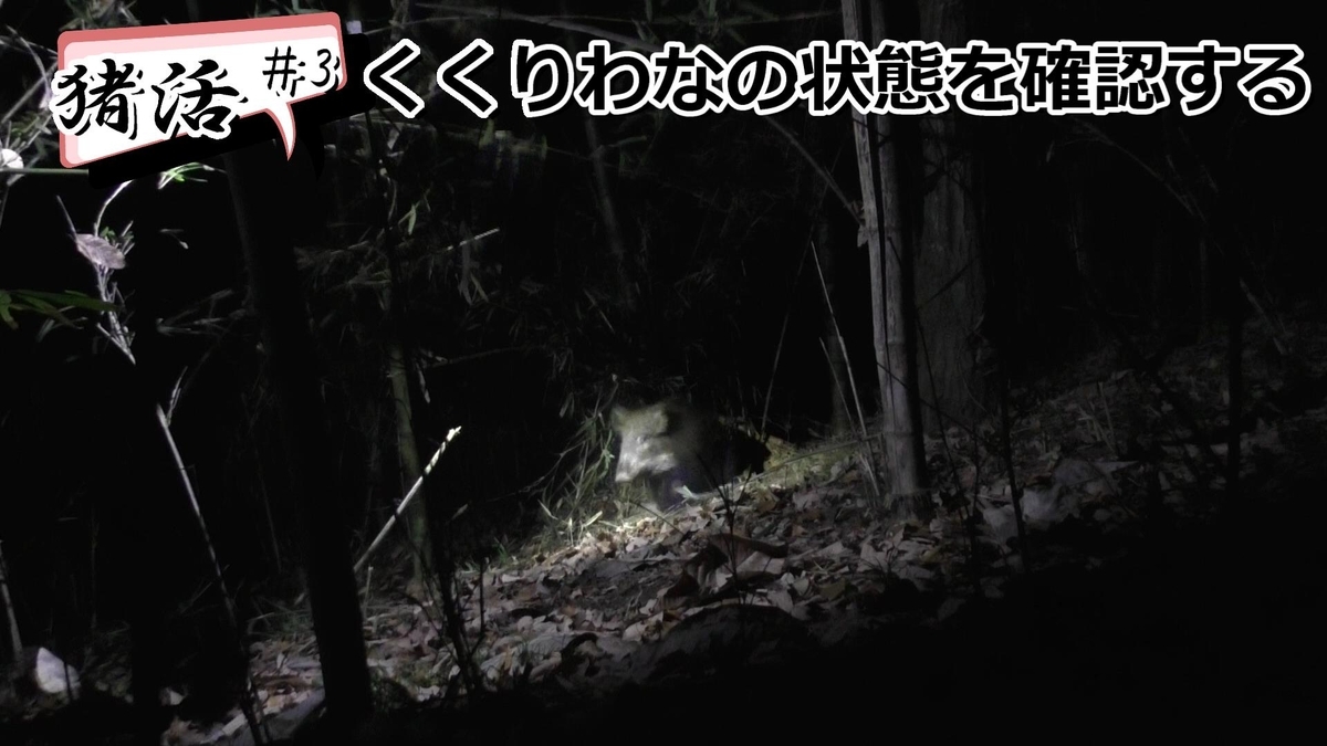 f:id:indoor_hunter:20210201100717j:plain
