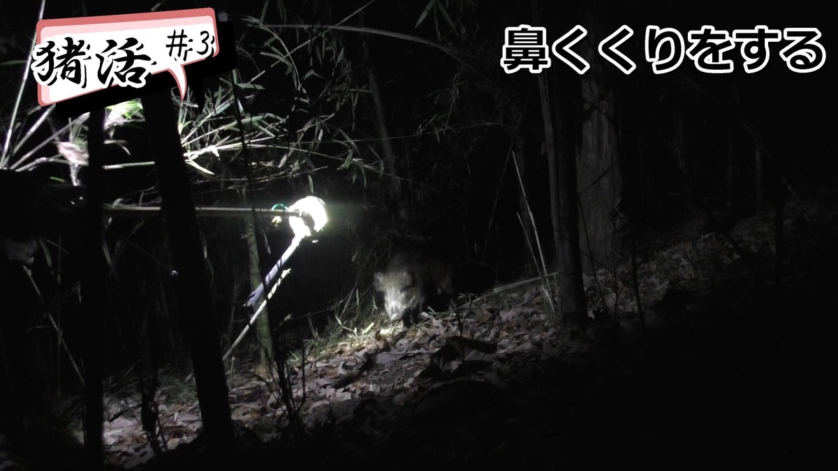 f:id:indoor_hunter:20210201100726j:plain