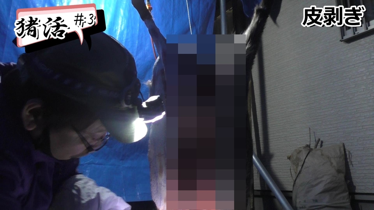 f:id:indoor_hunter:20210201100815j:plain
