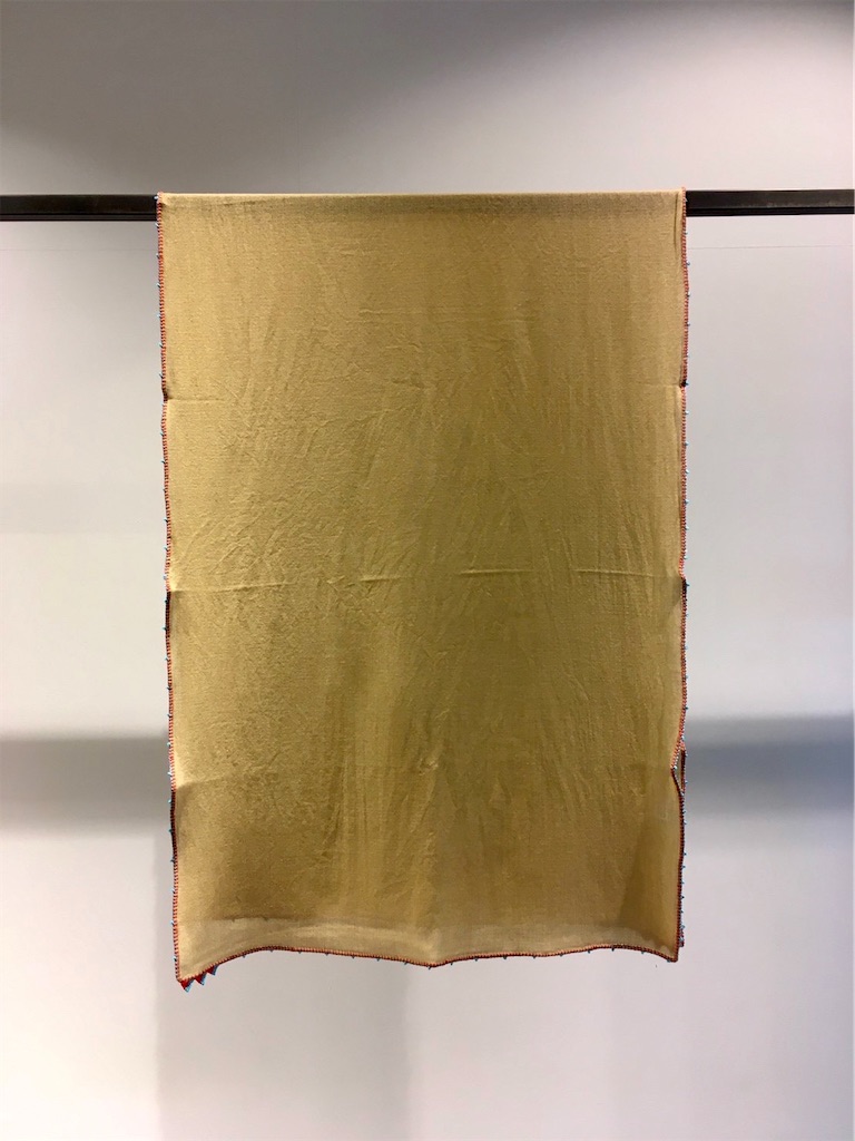 f:id:inefficient-tokyo:20220131115806j:image