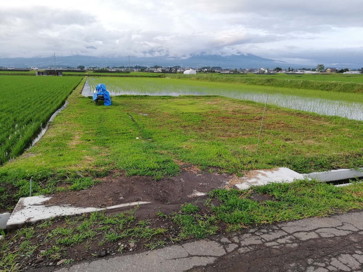 f:id:inekitiemon:20190623184845j:plain