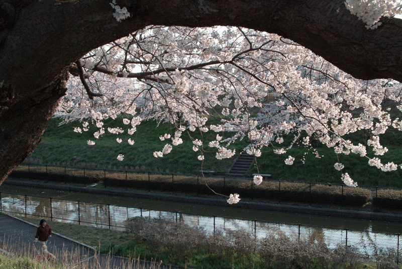 f:id:inf-mark:20100428122318g:image
