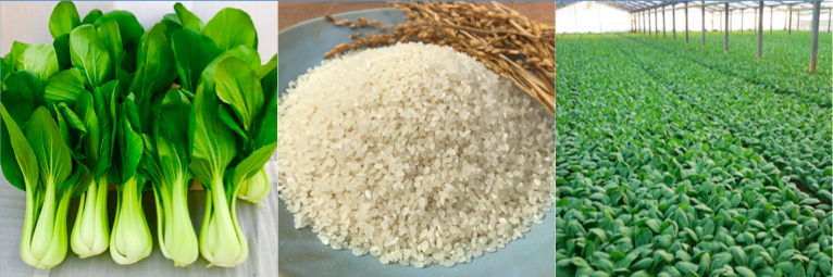 f:id:infablic:20180126164432p:plain f:id:infablic:20180126164432p:plain
