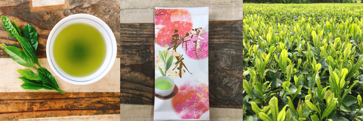 f:id:infablic:20190906164852p:plain f:id:infablic:20190906164852p:plain