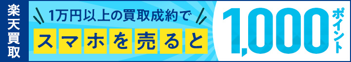 f:id:infablic:20201112152607j:plain f:id:infablic:20201112152607j:plain