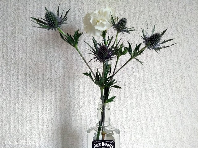 f:id:infernalbunny:20200108222857j:plain 白と紫の花。