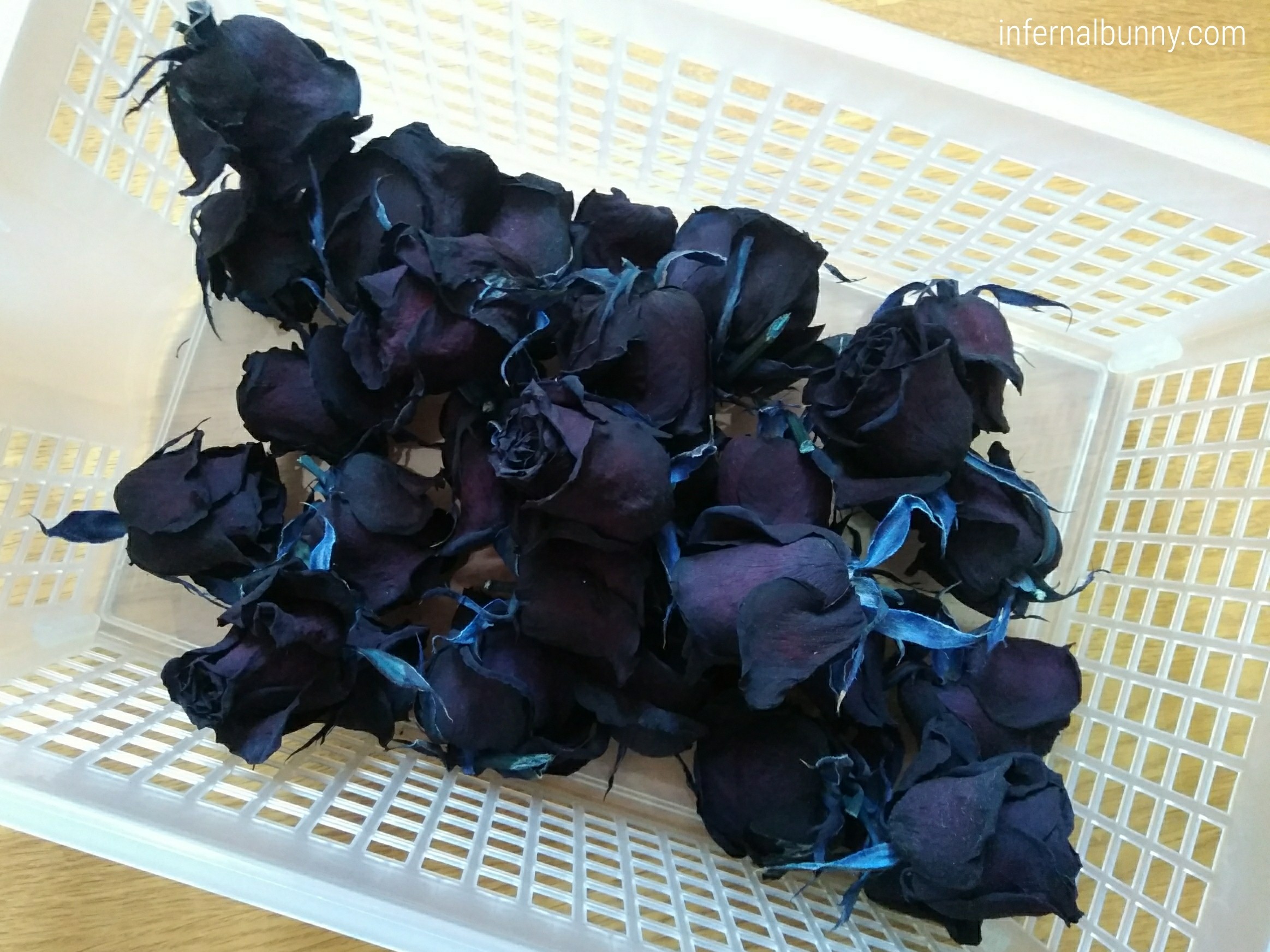 枯れた黒薔薇の花部分。