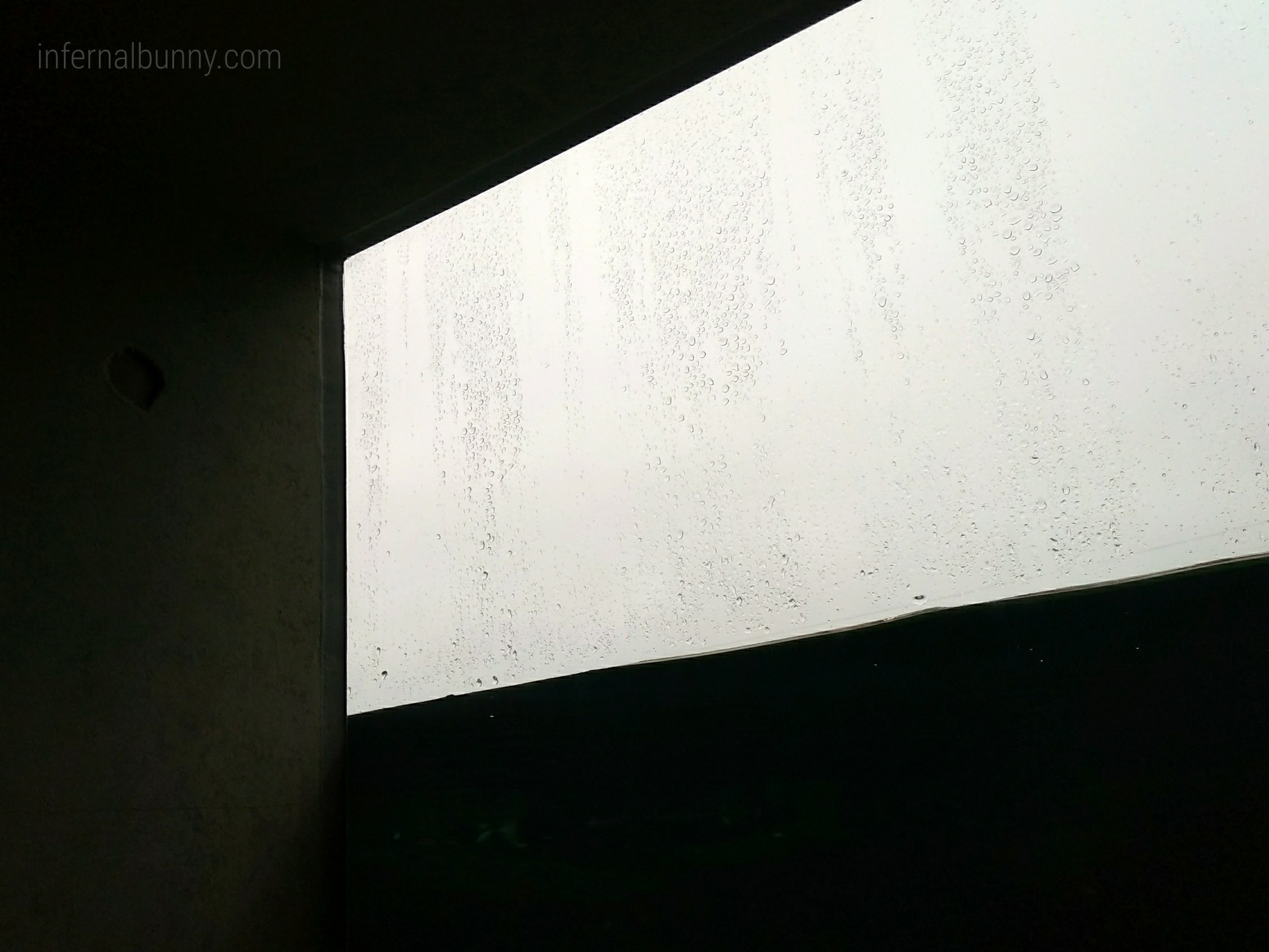 f:id:infernalbunny:20200624160121j:plain 雨が降りつけるガラス窓。