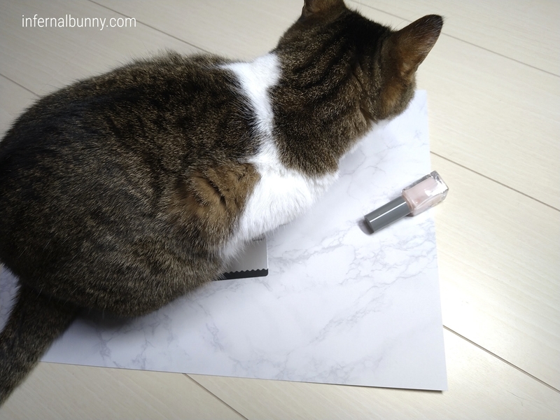 ネイルボトルとキジ白猫。