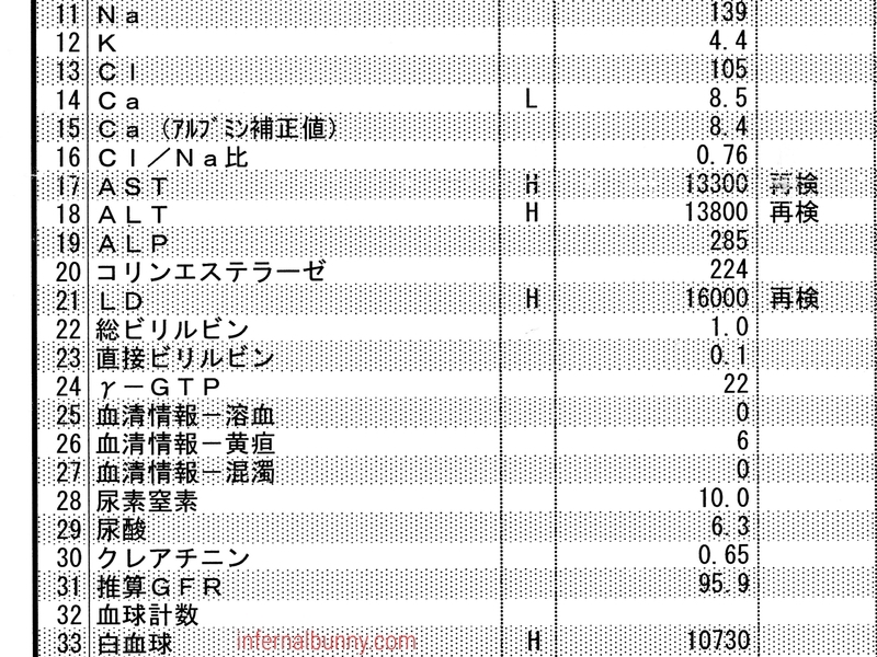 血液検査結果の接写。