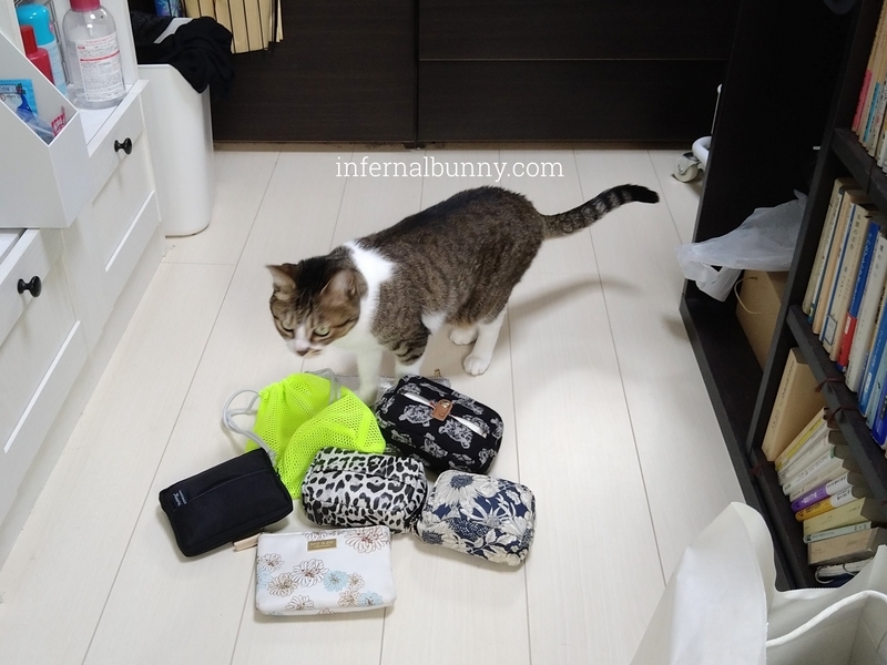 ポーチとキジ白猫。