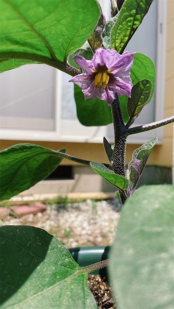 f:id:infinity_th4:20231006191848j:image