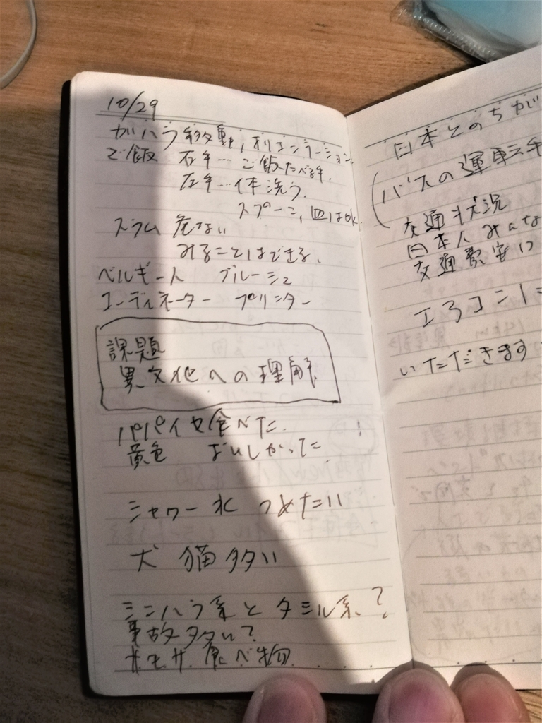 f:id:infinitylooploop:20181118174207j:plain f:id:infinitylooploop:20181118174207j:plain