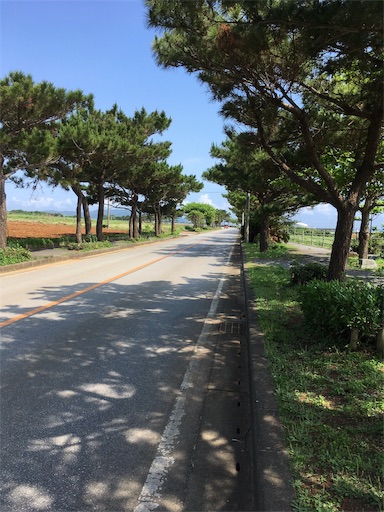 f:id:info-tino:20190429161234j:image f:id:info-tino:20190429161234j:image
