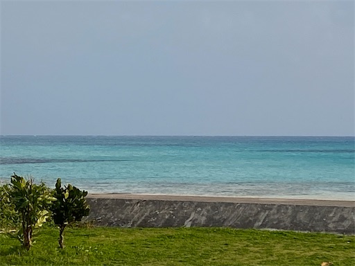 f:id:info-tino:20200131004130j:image f:id:info-tino:20200131004130j:image