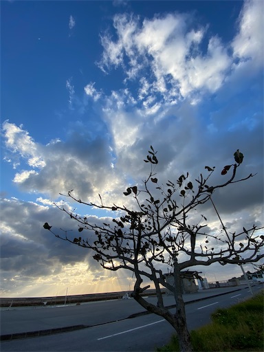 f:id:info-tino:20200201191655j:image f:id:info-tino:20200201191655j:image