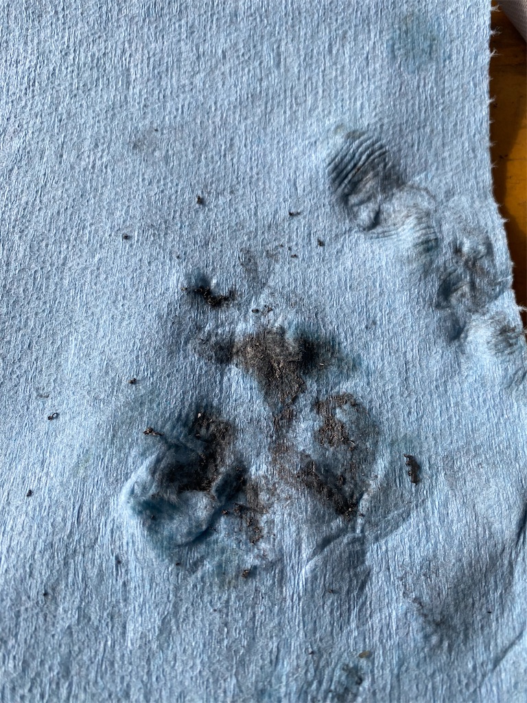 f:id:info_suzu:20231124072907j:image f:id:info_suzu:20231124072907j:image