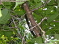 20110913075039